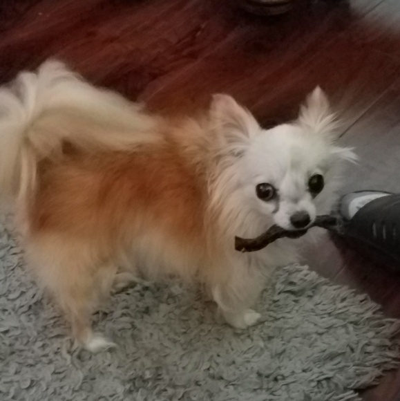 Easyspirit brand ladies slip ons 7.5 shoes - Picture 2 of 7